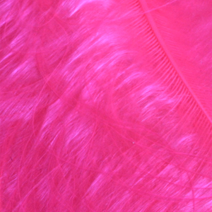 Bild på Marabou Fjäder (Plumes) Fl.Pink