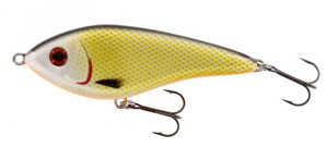 Bild på Westin Swim Suspending 12cm 53g Official Roach