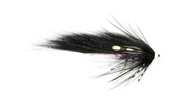 Bild på Frödin Sea Trout Spey Series (6cm) Em Z Spey