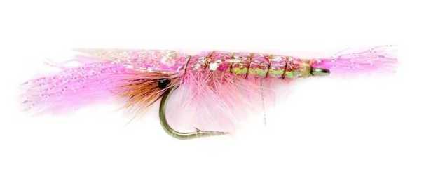 Bild på Flashback Shrimp Pink #4