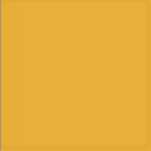 Bild på Json Foam 2mm (3 pack) Saffron Gold