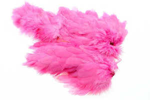 Bild på Ewing Marabou Body Patch Pink