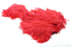 Bild på Ewing Marabou Body Patch Red