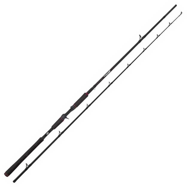 Bild på Abu Garcia Beast Spinn 7ft 20-70g